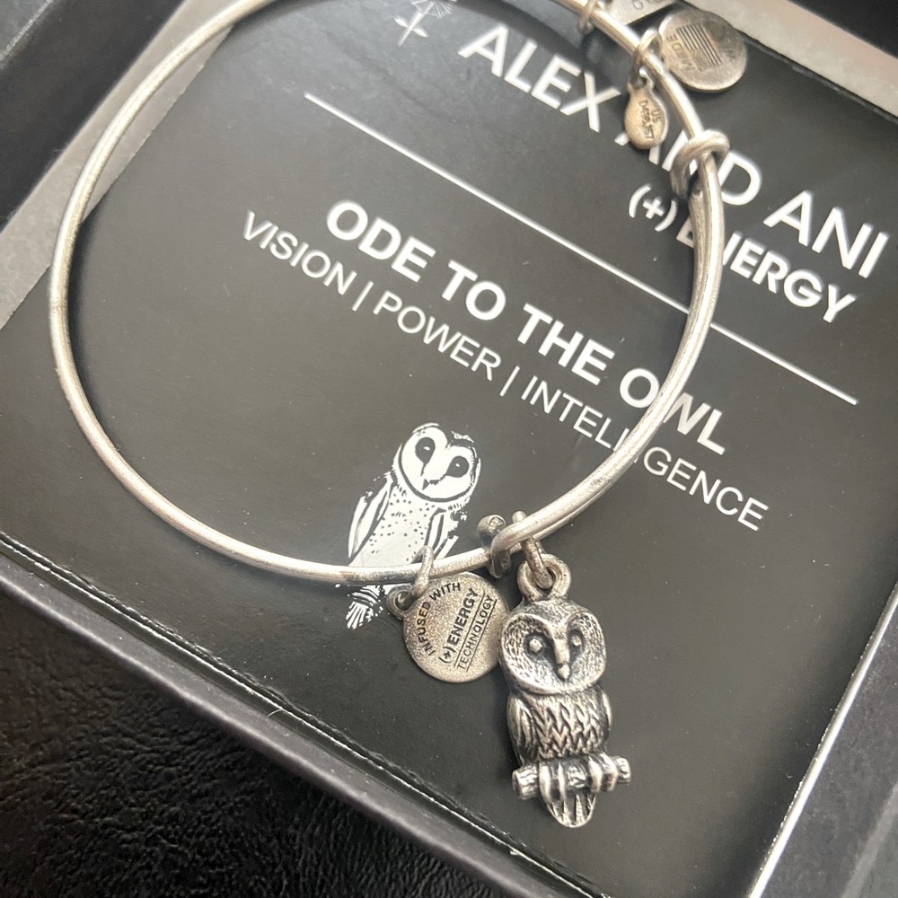 Alex and Ani Ode to the Owl Bracelet (charm bangle)
